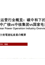 2021年核电运营行业概览：碳中和下的核电复苏，中广核vs中核集团vs国家电投