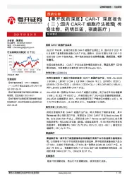 【粤开医药深度】CAR-T深度报告(二):国内CAR-T细胞疗法梳理(传奇生物、药明巨诺,驯鹿医疗)