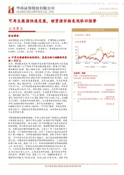公用事业行业周报：可再生能源快速发展，锂资源价格表现依旧强势