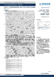 电气设备新能源行业周报:电动车6月销量普遍超预期、锂电中游中报预告多超预期