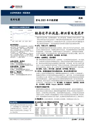 家电2021年中报前瞻:轻舟过半水流急,新兴家电竞花开