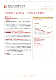 通信行业：蜂窝物联网2.0阶段：产业发展趋势解析