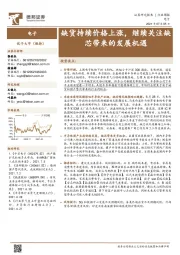 电子行业周报：缺货持续价格上涨，继续关注缺芯带来的发展机遇