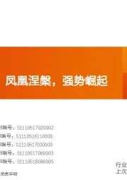 有色金属:钴行业深度:凤凰涅槃,强势崛起