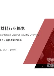 2021年中国半导体硅材料行业概览