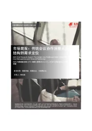 中国视频会议行业研究：市场简报：传统会议协作洞察从成本结构到需求定位