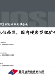 锂行业系列报告4：战略地位凸显，国内硬岩型锂矿全梳理