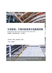 中国小水电行业调研简报：中国民航春季市场数据洞察