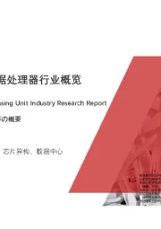 2021年中国数据处理器行业概览