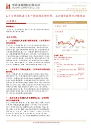 公用事业：6月全球新能源汽车产销延续高增态势，上游锂资源供应持续紧缺