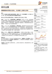 稀有金属行业研究周报:碳酸锂提单买卖协议推出,关注锂价上涨第三阶段