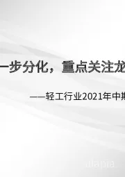 轻工行业2021年中期投资策略：行业进一步分化，重点关注龙头公司