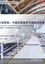 中国小水电行业调研简报：中国民航春季市场数据洞察