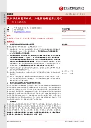 新能源行业专题报告：欧洲推出新能源新政，加速拥抱新能源大时代