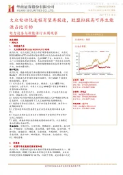 电力设备与新能源行业周观察:大众电动化进程有望再提速,欧盟拟提高可再生能源占比目标