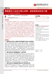 电工钢行业深度报告：新能源及工业动力核心材料：被忽视低估的电工钢