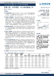 化工行业2021年7月第四周周报：辛醇上涨，油市震荡，化工板块继续上行