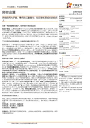 稀有金属行业研究周报:供给的两大矛盾,需求的三重催化:站在锂长期成长的起点上