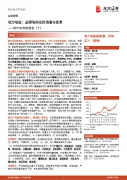 碳中和深度报告(十):动力电池:全球电动化的浪潮与变革