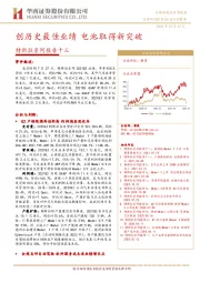特斯拉系列报告十三：创历史最佳业绩 电池取得新突破