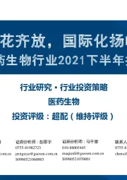 医药生物行业2021下半年投资策略:创新百花齐放,国际化扬帆启航