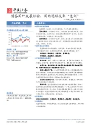 冠脉支架系列报告之二：借鉴国外发展经验，国内冠脉支架“亮剑”