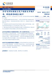 电力及公用事业：分时电价机制助力用户端配电市场扩容，新能源消纳能力提升