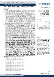 电气设备新能源行业周报：分时电价政策推动储能发展，中央定调支持电动车产业
