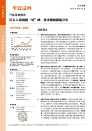 电力设备行业深度报告：巨头入场摇旗“钠”喊，技术路线面临分化