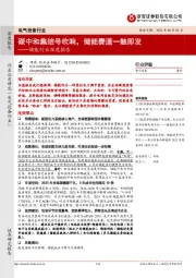 储能行业深度报告：碳中和集结号吹响，储能赛道一触即发