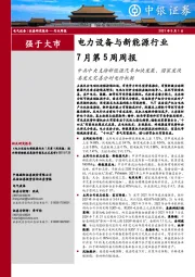 电力设备与新能源行业7月第5周周报：中共中央支持新能源汽车加快发展，国家发改委发文完善分时电价机制