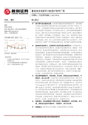 计算机行业简评报告：重视有全球竞争力的国产软件厂商