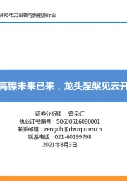 电力设备与新能源行业：高镍未来已来，龙头涅槃见云开