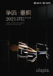 汽车行业：2021中国豪华车市场研究报告