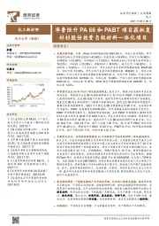 化工新材料行业周报：华鲁恒升PA66和PABT项目获批复 杉杉股份投资负极材料一体化项目