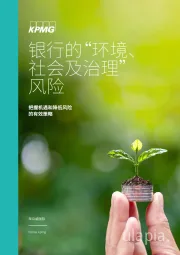 银行：把握机遇和降低风险的有效策略-银行的“环境、社会及治理”风险