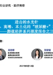 颜值经济系列深度报告之三：进击的水光针-持续高频、高增、本土化的“玻尿酸+”注射产品