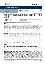 培育钻石行业快评：培育钻石行业里程碑：豫园珠宝推出国内首个培育钻