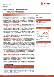 碳酸锂产业链深度研究报告之三：锂矿石VS铁矿石：青似于蓝而胜于蓝
