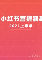 互联网行业：2021上半年新榜小红书营销洞察报告