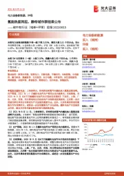 碳中和行业(电新+环保)周报:氢能热度再起,静待城市群结果公布