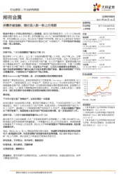 稀有金属行业研究周报：供需矛盾难解，锂价进入新一轮上行周期