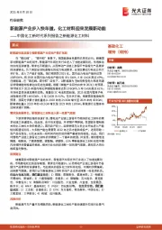 中国化工新时代系列报告之新能源化工材料：新能源产业步入快车道，化工材料迎来发展新动能