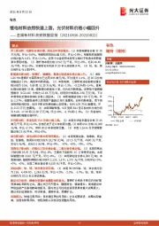 金属新材料高频数据周报：锂电材料依然快速上涨，光伏材料价格小幅回升