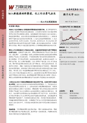 化工行业深度报告：切入新能源材料赛道，化工行业景气拉长
