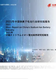 2021年中国钠离子电池行业研究短报告