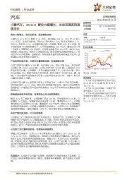 汽车：小鹏汽车：2021H1营收大幅增长，未来有望保持高速成长