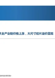 先进制造行业周报:户用光伏支撑装机需求,光伏全产业链价格上涨,大尺寸硅片溢价显现