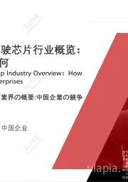 2021年中国自动驾驶芯片行业概览：中国企业竞争力几何
