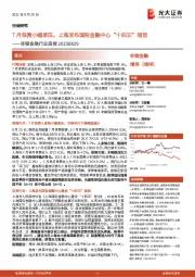 非银金融行业周报：7月保费小幅承压，上海发布国际金融中心“十四五”规划